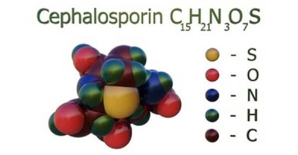 Cephalosporin API Manufacturing